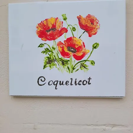Waterlily Et Coquelicot House Vernon (Eure)